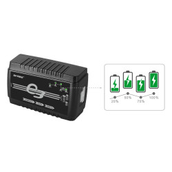 EV-PEAK E3 30W/3.0A Easy Intelligent Charger
