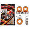 13x19x4mm Thunder Innovations Rubber Sealed RC Bearings (4)