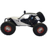 WLtoys 12429 Storm 1/12 4WD Brushed RTR Buggy