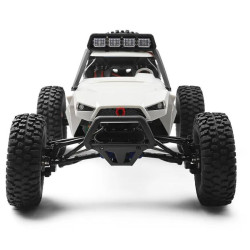 WLtoys 12429 Storm 1/12 4WD Brushed RTR Buggy