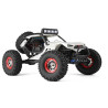 WLtoys 12429 Storm 1/12 4WD Brushed RTR Buggy