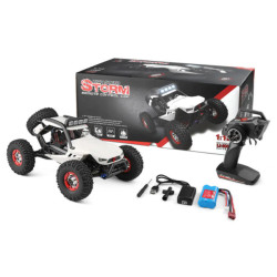 WLtoys 12429 Storm 1/12 4WD Brushed RTR Buggy