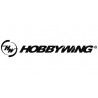 Hobbywing